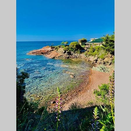 Appartement Antheor - vue exceptionnelle - refait à neuf 4 couchages à Saint-Raphaël Extérieur photo