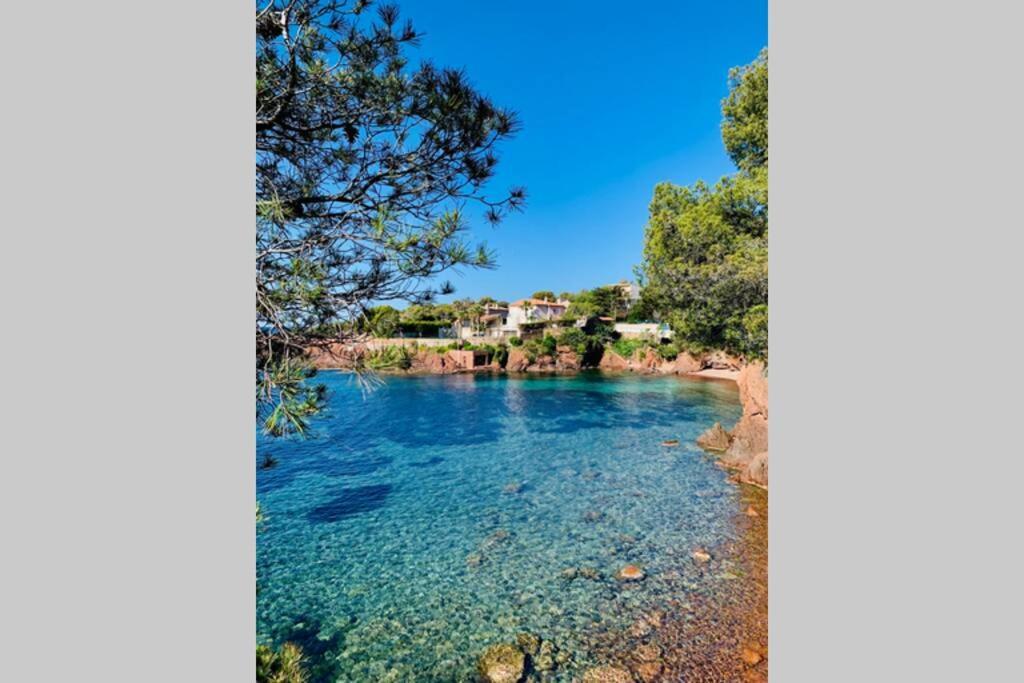 Appartement Antheor - vue exceptionnelle - refait à neuf 4 couchages à Saint-Raphaël Extérieur photo