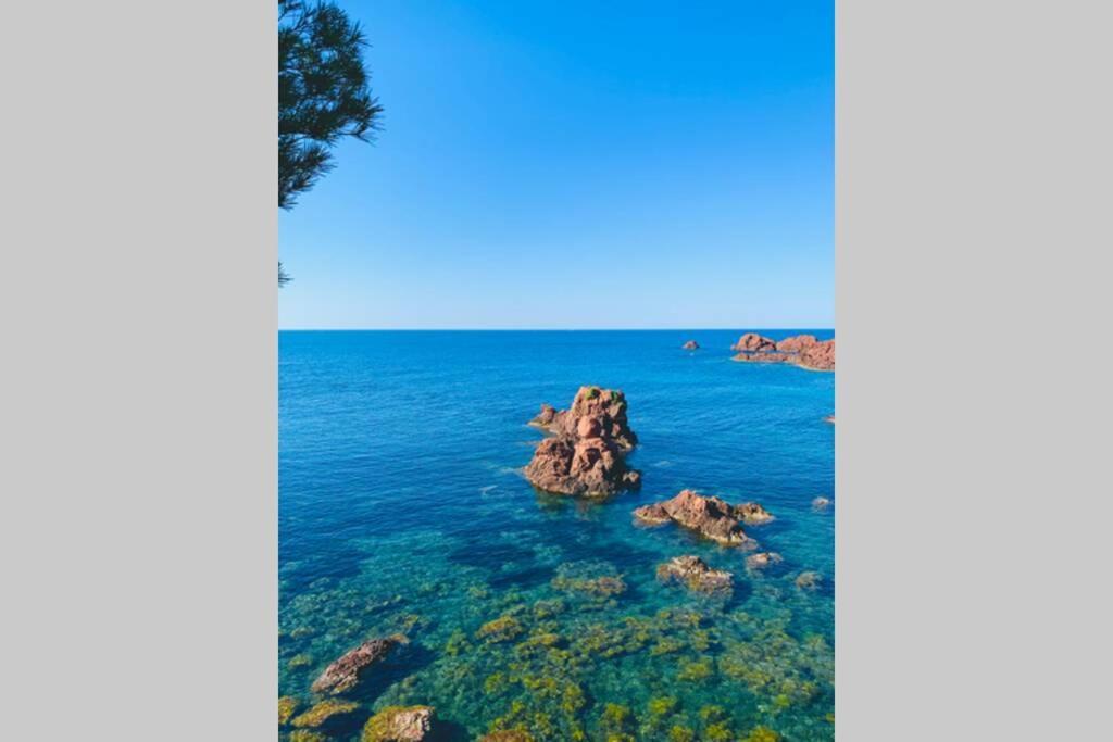 Appartement Antheor - vue exceptionnelle - refait à neuf 4 couchages à Saint-Raphaël Extérieur photo