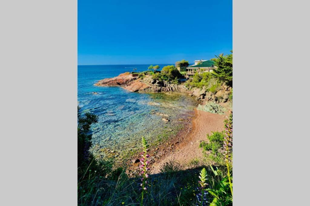 Appartement Antheor - vue exceptionnelle - refait à neuf 4 couchages à Saint-Raphaël Extérieur photo